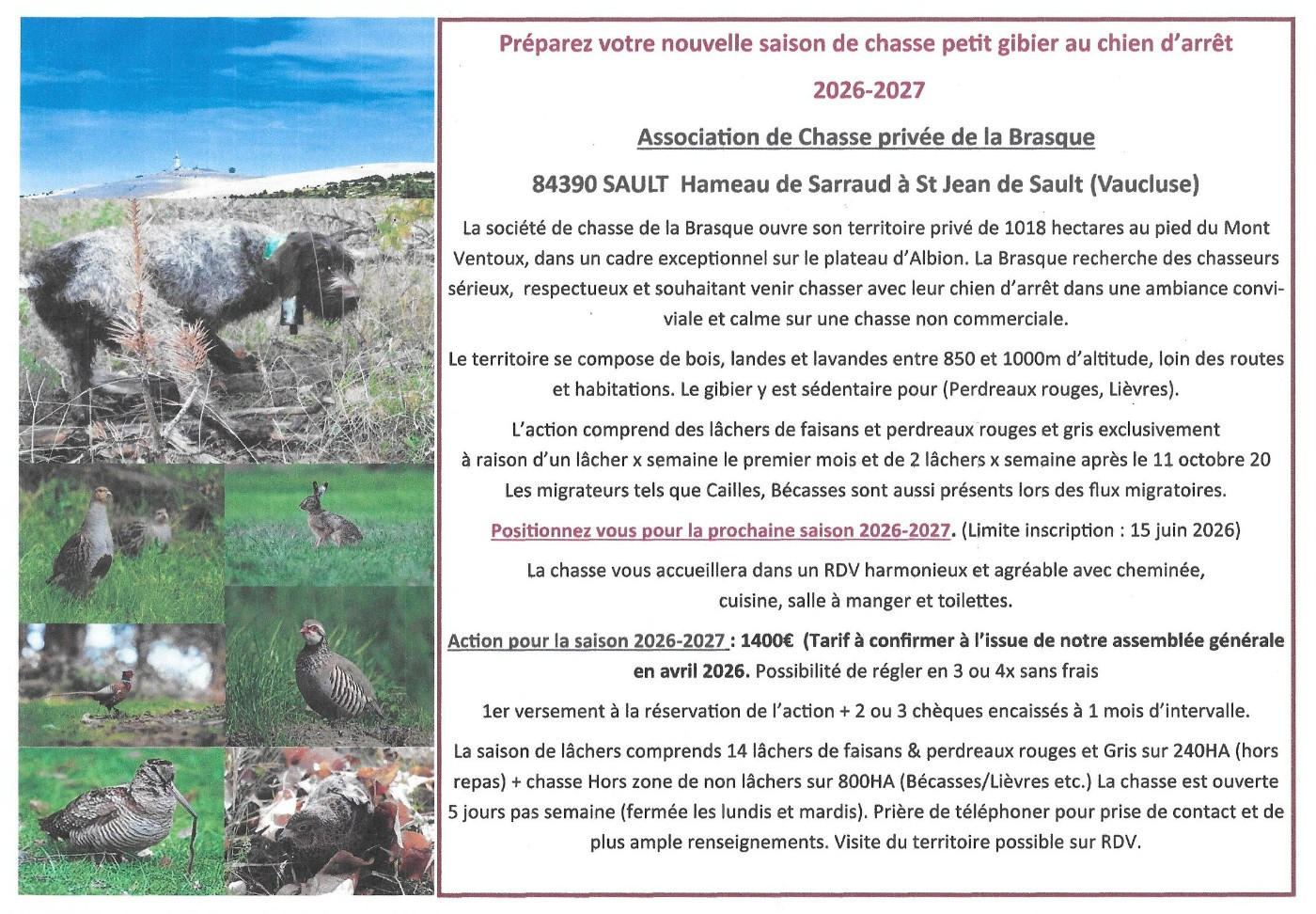 ACTION DE CHASSE PETIT GIBIER EN VAUCLUSE 2026-2027