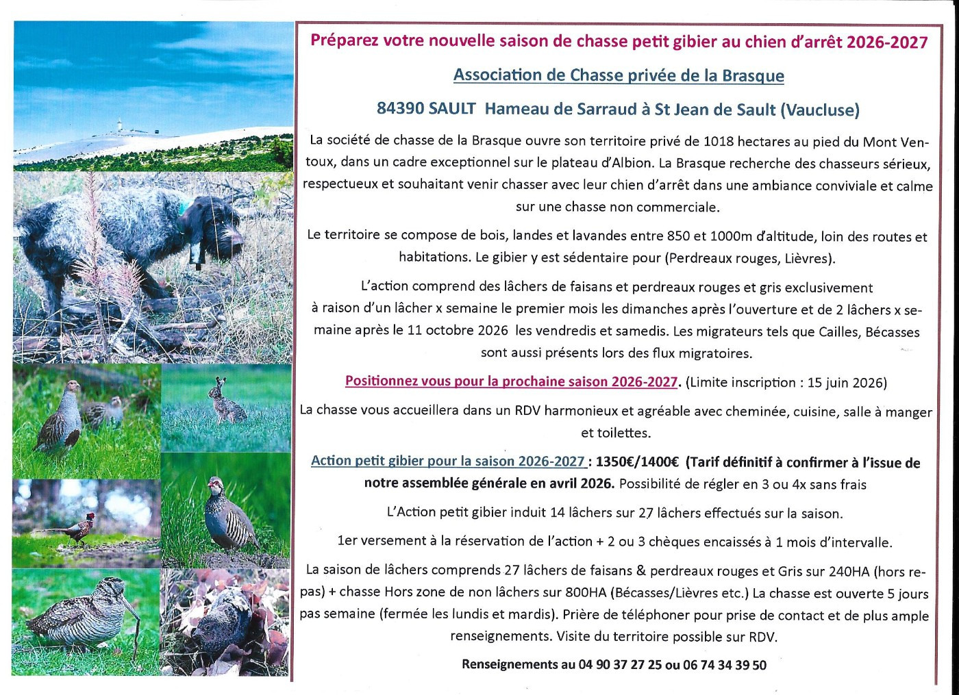 ACTION DE CHASSE PETIT GIBIER EN VAUCLUSE 2026-2027