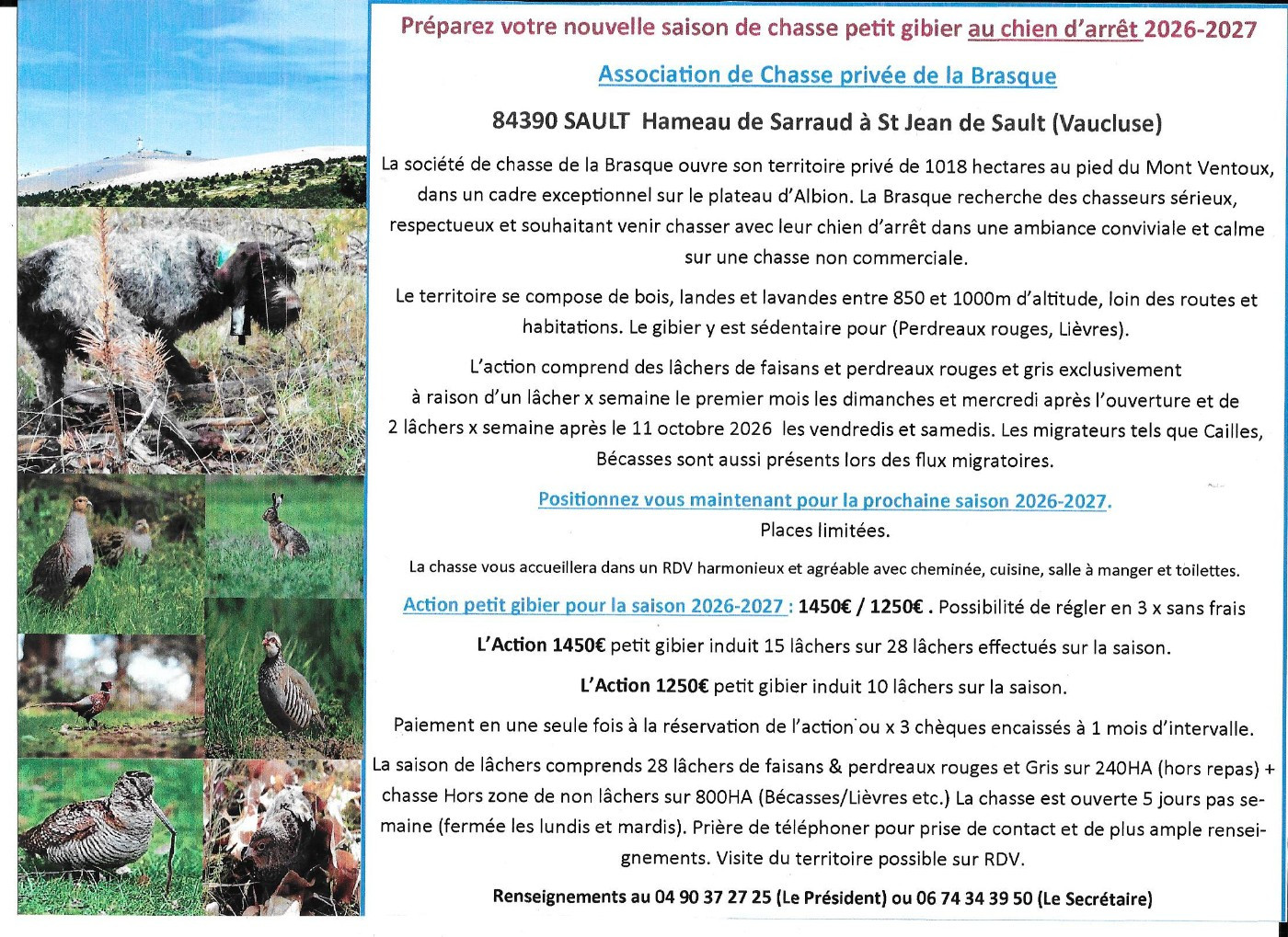 ACTION DE CHASSE PRIVEE SAISON 2026/2027 "LA BRASQUE" St Jean de Sault 84